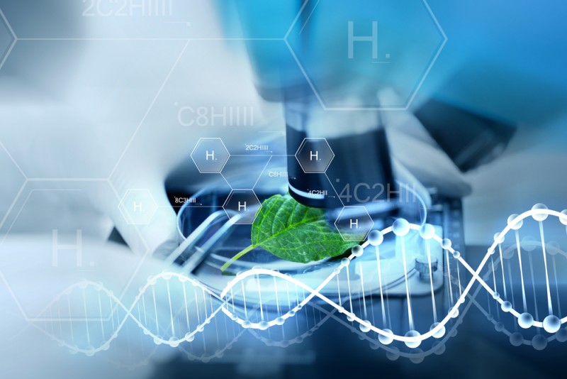 Introducing a Unique Biotech Products Fund Stock Investor